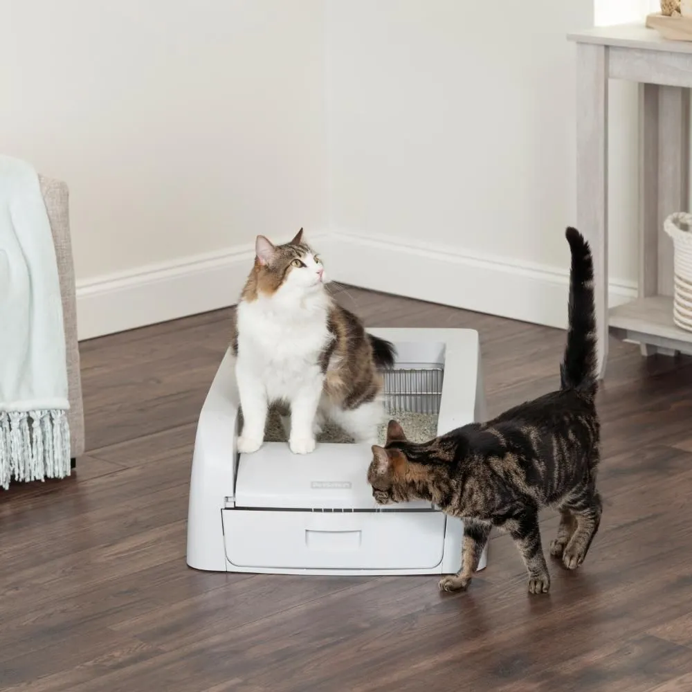 Petsafe ScoopFree Auto Clumping Litterbox Kattetoilet PAL10-17992